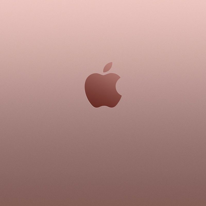 10 Top Rose Gold Iphone 6 Wallpaper FULL HD 1080p For PC Background 2023 free download rose gold apple iphone 6s wallpaper modeling pinterest ecran 1 800x800