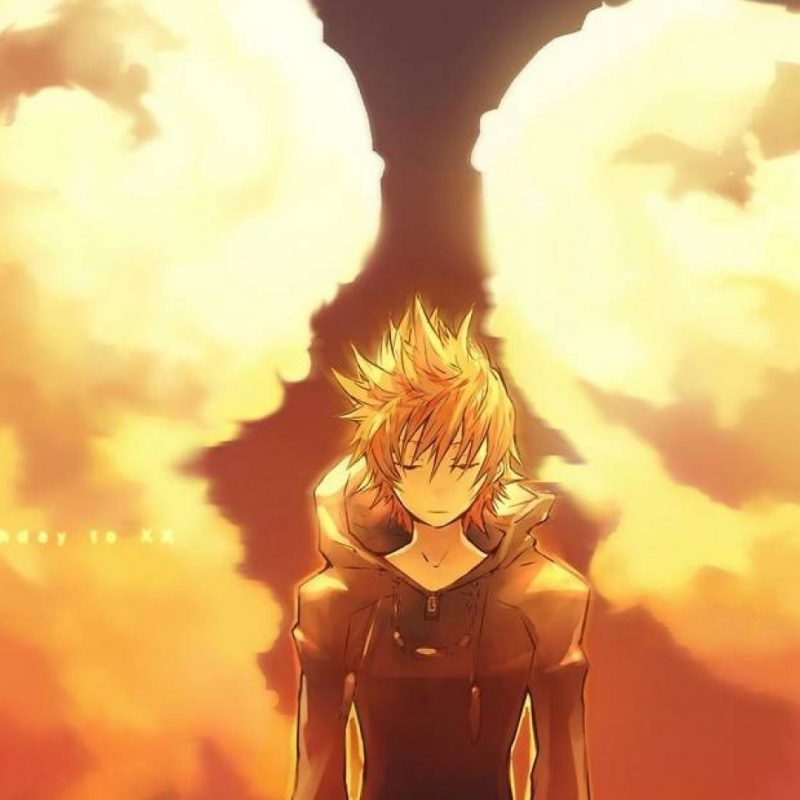 10 Best Kingdom Hearts Wallpaper 1920X1080 Roxas FULL HD 1080p For PC Background 2023 free download roxas kingdom hearts wallpaper 74 images 800x800