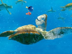 sea turtles wallpapers - wallpaper cave