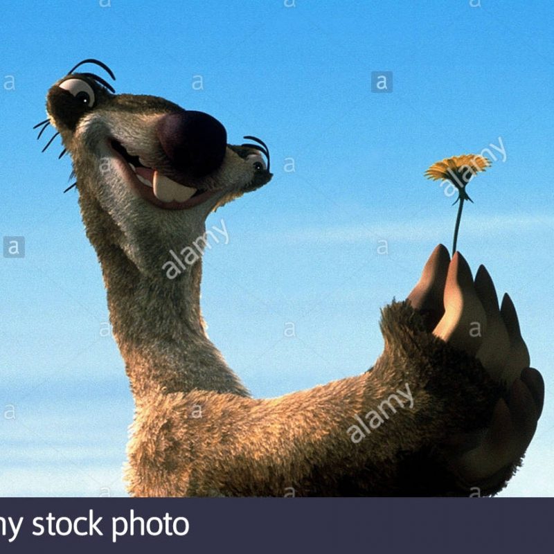 10 Top Images Of Sid The Sloth FULL HD 1080p For PC Background 2022 free download sid the sloth stock photos sid the sloth stock images alamy 800x800