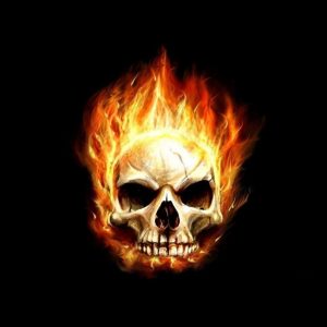 skull |  skull wallpapers skull skull avatars war skulls skulls