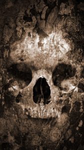 skull wallpaper android