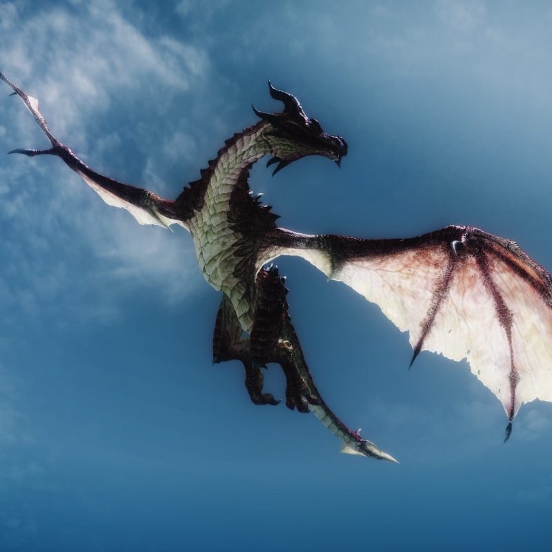 10 Best Pictures Of Dragons Flying FULL HD 1080p For PC Background 2022 free download skyrim dragon flying dragons pinterest skyrim dragon dragons 800x800
