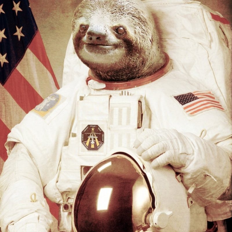10 Latest Sloth Astronaut Wallpaper FULL HD 1080p For PC Background 2022 free download sloth on the moonbakus design on deviantart 800x800