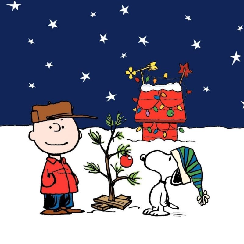 10 Top Snoopy Christmas Wallpaper Free FULL HD 1080p For PC Background 2022 free download snoopy christmas wallpaper c2b7e291a0 800x800