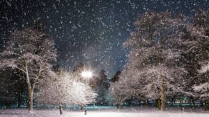 snow at night ❤ 4k hd desktop wallpaper for 4k ultra hd tv • wide