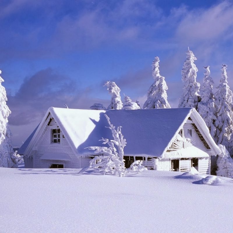 10 Most Popular Snow Falling Wallpaper Hd Full Hd 1080p For Pc