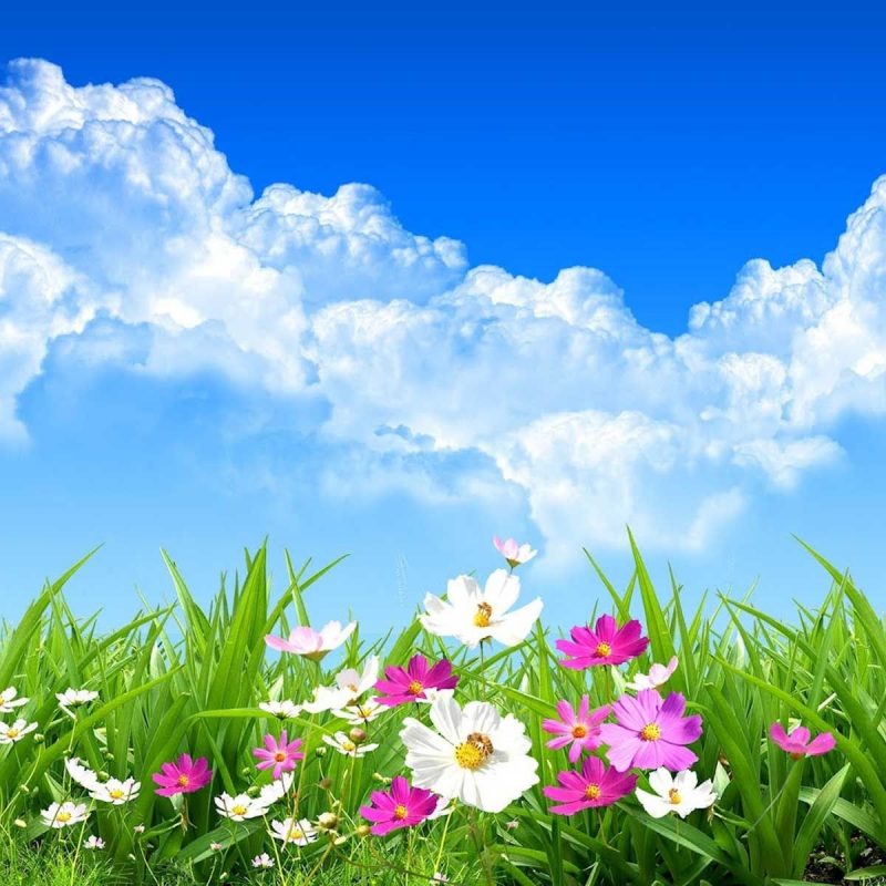 10 Top Background Images Nature Spring FULL HD 1080p For PC Background 2022 free download spring day wide desktop background wallpaper free nature spring 800x800