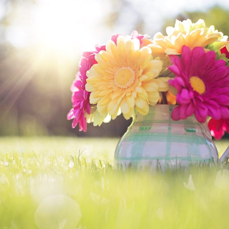 10 Most Popular Spring Desktop Wallpaper Hd FULL HD 1080p For PC Background 2022 free download spring desktop wallpaper widescreen hd for computer images 1 800x800