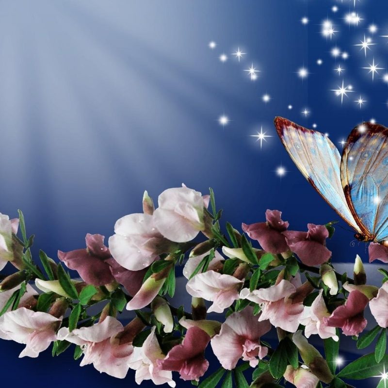 10 Latest Flowers And Butterflies Wallpaper FULL HD 1080p For PC Desktop 2023 free download spring flowers and butterflies hd desktop background 800x800