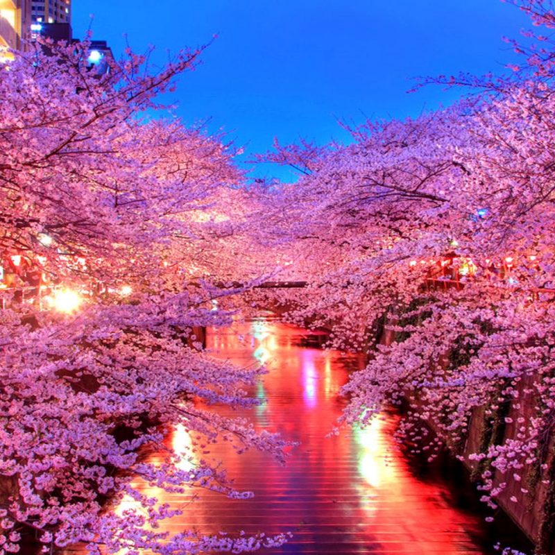10 Best Beautiful Japan Wallpaper FULL HD 1080p For PC Desktop 2023 free download spring in japan wallpapers crazy frankenstein 800x800