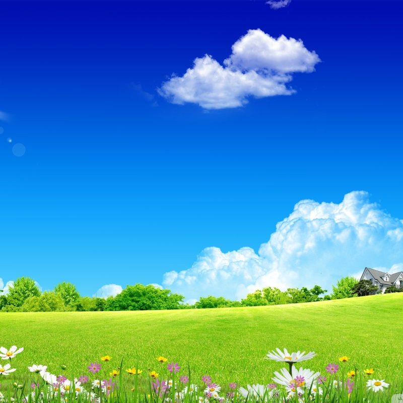 10 Top Background Images Nature Spring FULL HD 1080p For PC Background 2022 free download spring wallpapers best wallpapers 1 800x800