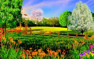 summer nature backgrounds hd desktop 10 hd wallpapers | hdwalli