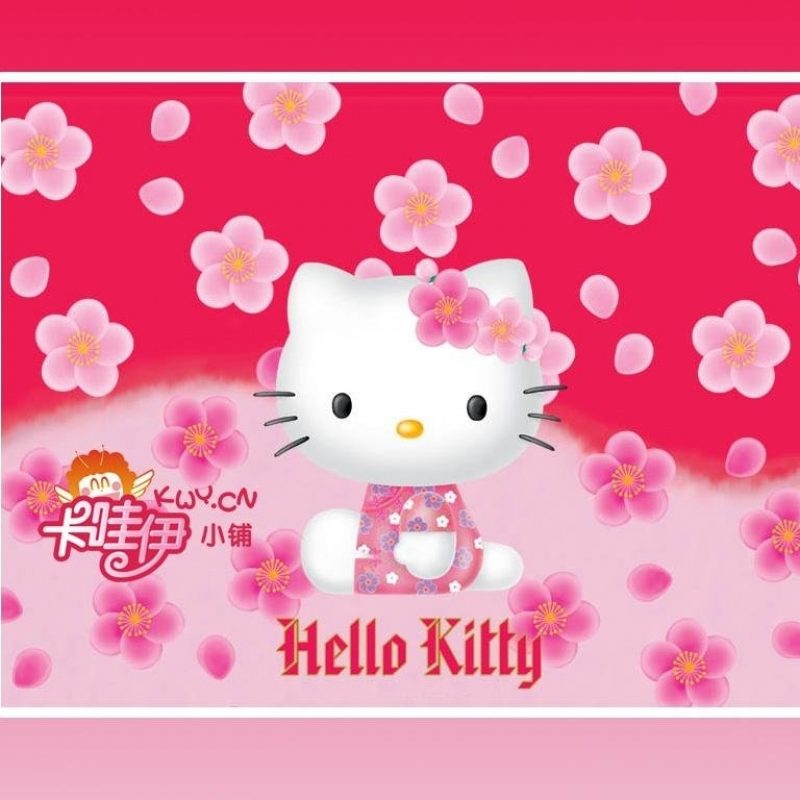 10 Top Free Hello Kitty Wallpapers FULL HD 1080p For PC Background 2023 free download sweetness decoration simple elegance wall blossomings falling flower 1 800x800