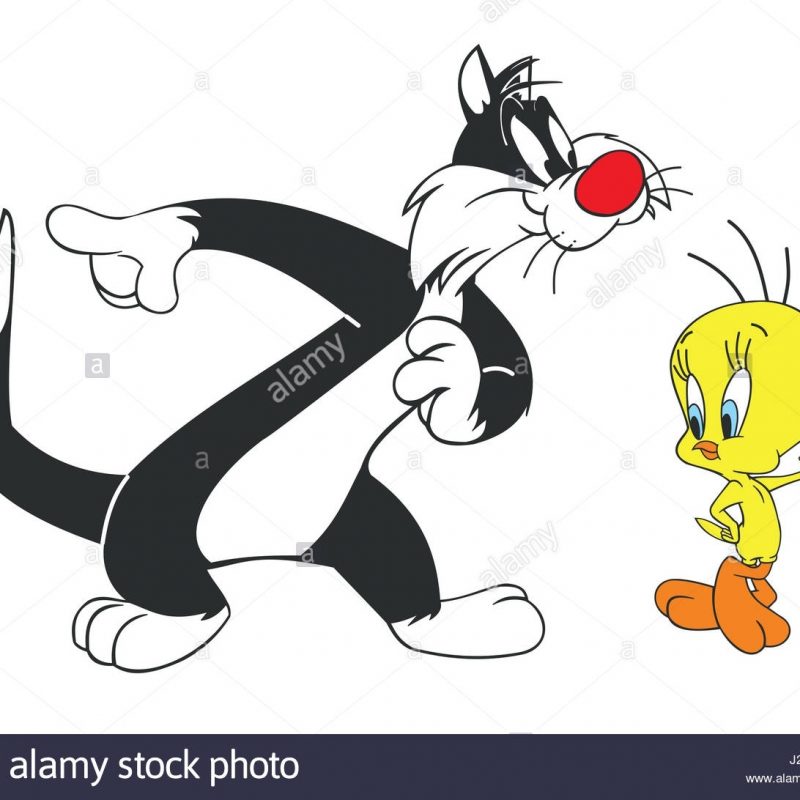 10 Most Popular Sylvester The Cat Images FULL HD 1920×1080 For PC Background 2022 free download sylvester cat tweety bird stock photo 139033404 alamy 1 800x800