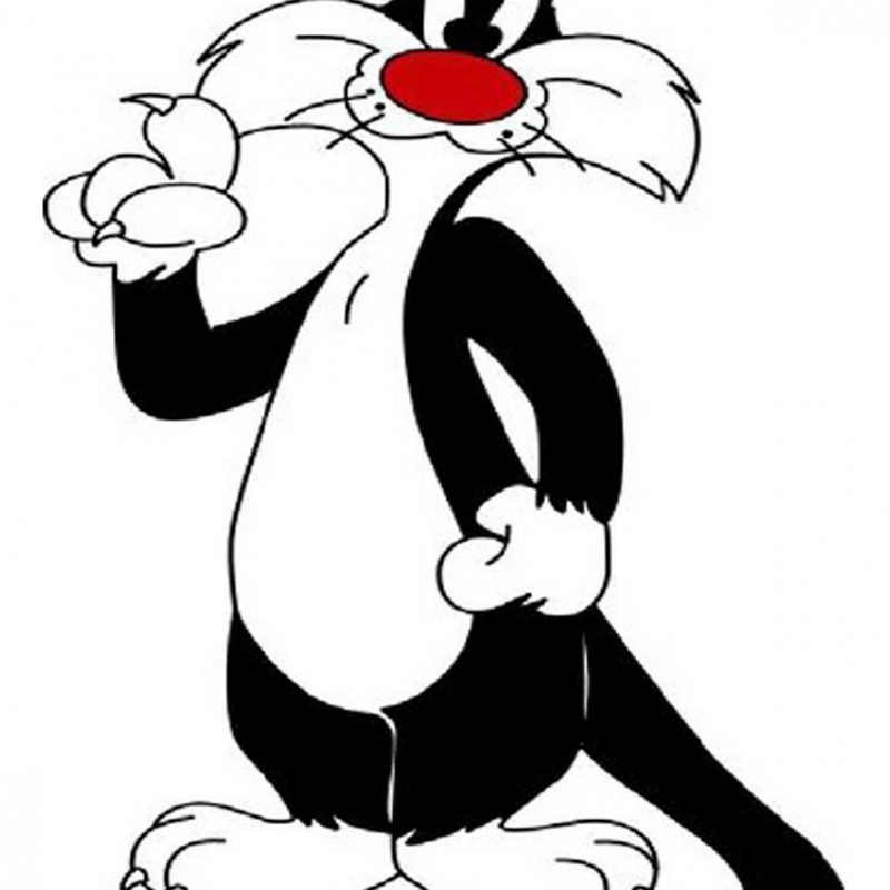 10 Most Popular Sylvester The Cat Images FULL HD 1920×1080 For PC Background 2022 free download sylvester the cat sylvester cat looney tunes looney tunes ect 1 800x800