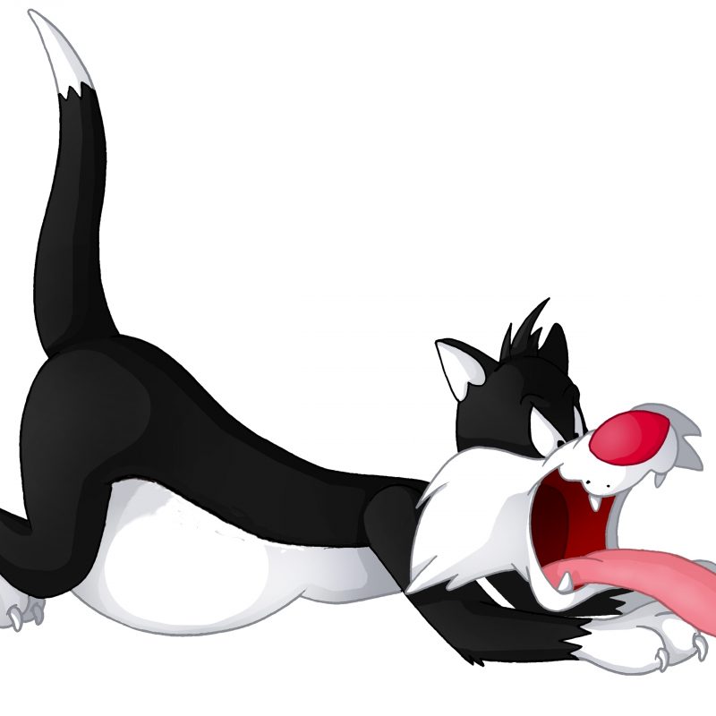10 Most Popular Sylvester The Cat Images FULL HD 1920×1080 For PC Background 2022 free download sylvester the cat vore plush non internal viewspottylicious 800x800