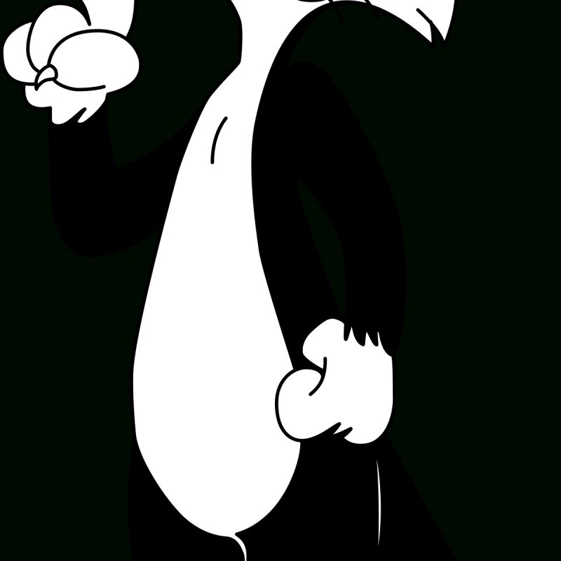 10 Most Popular Sylvester The Cat Images FULL HD 1920×1080 For PC Background 2022 free download sylvester the cat wikipedia 1 800x800