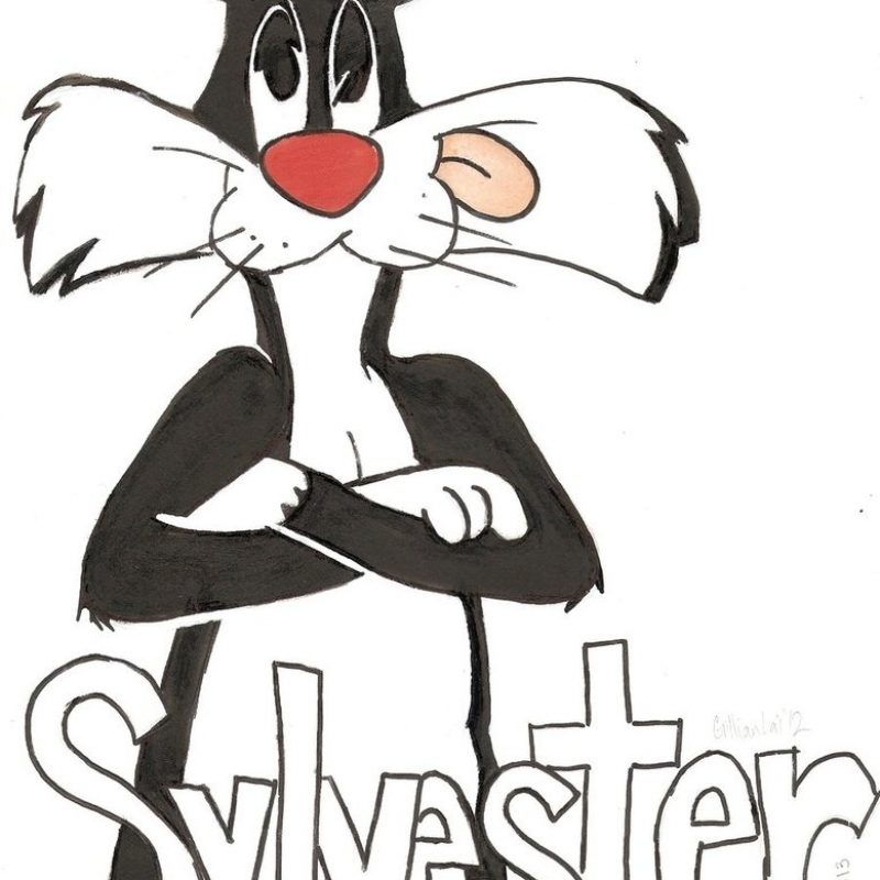 10 Most Popular Sylvester The Cat Images FULL HD 1920×1080 For PC Background 2022 free download sylvester the catgilliebrandie on deviantart 1 800x800
