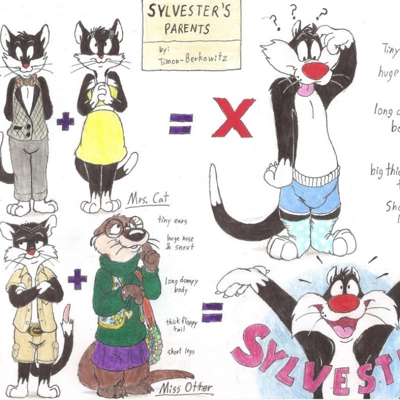 10 Most Popular Sylvester The Cat Images FULL HD 1920×1080 For PC Background 2022 free download sylvester the cats mother and fathertimon berkowitz on deviantart 1 800x800