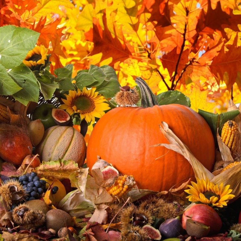 10 New Thanksgiving Desktop Wallpaper Free FULL HD 1080p For PC Background 2022 free download thanksgiving desktop wallpaper c2b7e291a0 download free cool wallpapers for 800x800