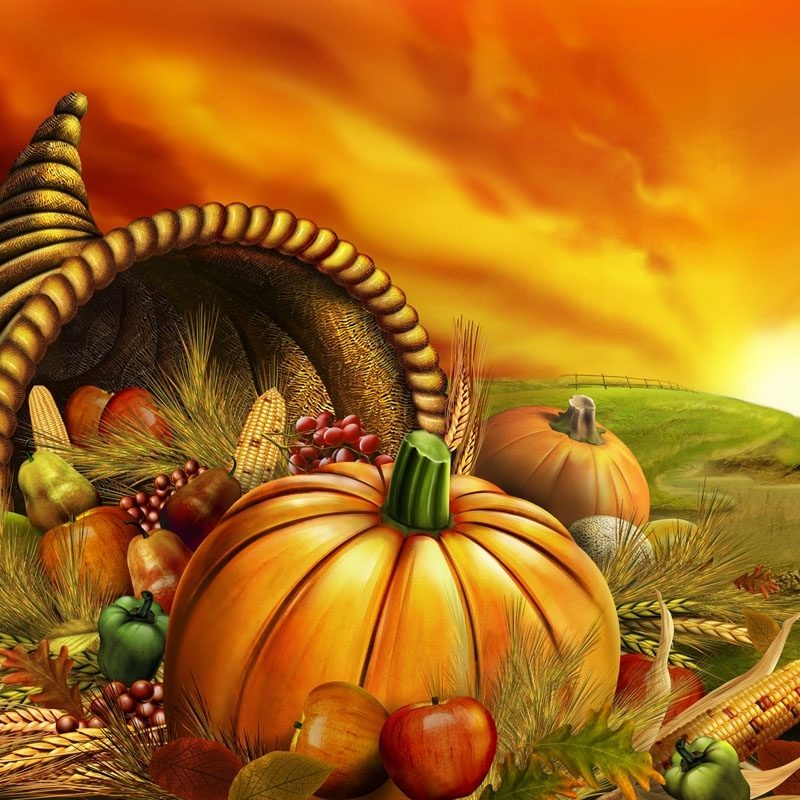 10 Best High Resolution Thanksgiving Images FULL HD 1920×1080 For PC Background 2022 free download thanksgiving high resolution pictures high resolution pictures 800x800