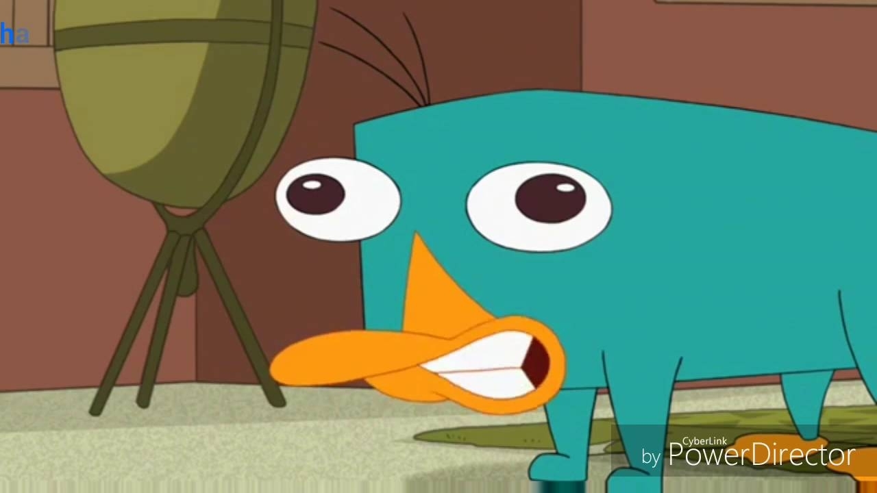perry the platypus song