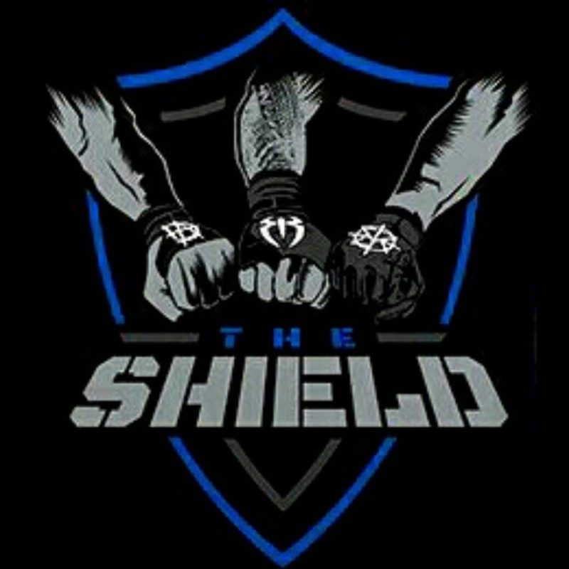 10 New Wwe The Shield Logo FULL HD 1920×1080 For PC Background 2023 free download the shield logo wwe shield logo www pixshark images 800x800