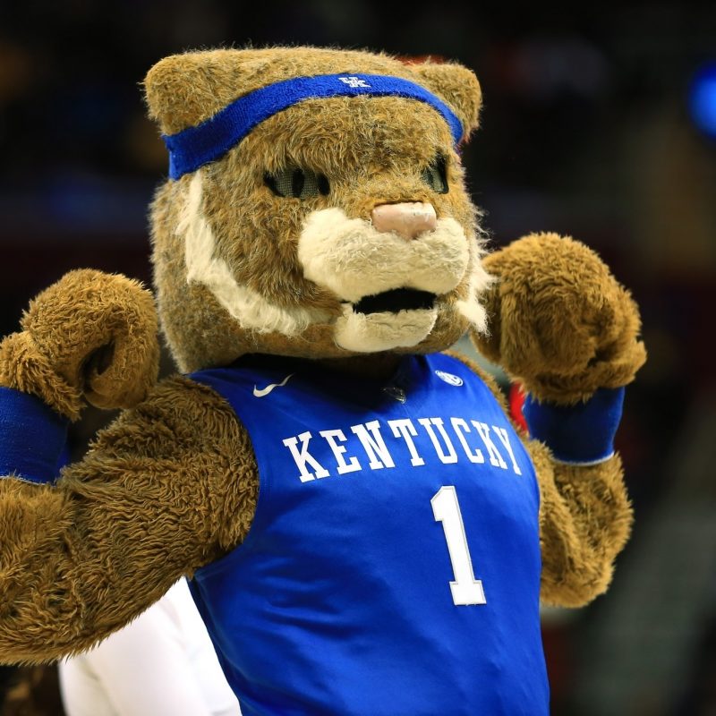 10 New Kentucky Wildcats Mascot Pictures Full Hd 1920×1080 For Pc