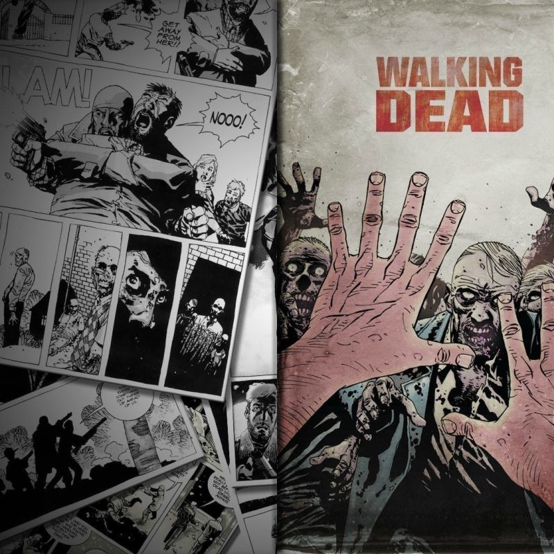 10 Top The Walking Dead Comics Wallpaper FULL HD 1080p For PC Background 2023 free download the walking dead 10 wallpaper comic wallpapers 26722 800x800