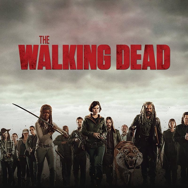 10 Latest The Walking Dead Season 8 Wallpaper FULL HD 1920×1080 For PC Background 2023 free download the walking dead season 8 wallpapers wallpaper cave 2 800x800