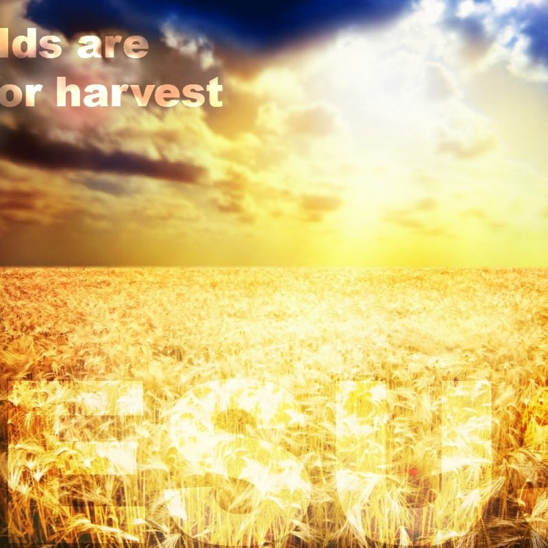 10 Best Jesus Pic With Bible Verse FULL HD 1920×1080 For PC Desktop 2023 free download the white harvest what jesus did and didnt say bible verses 800x800