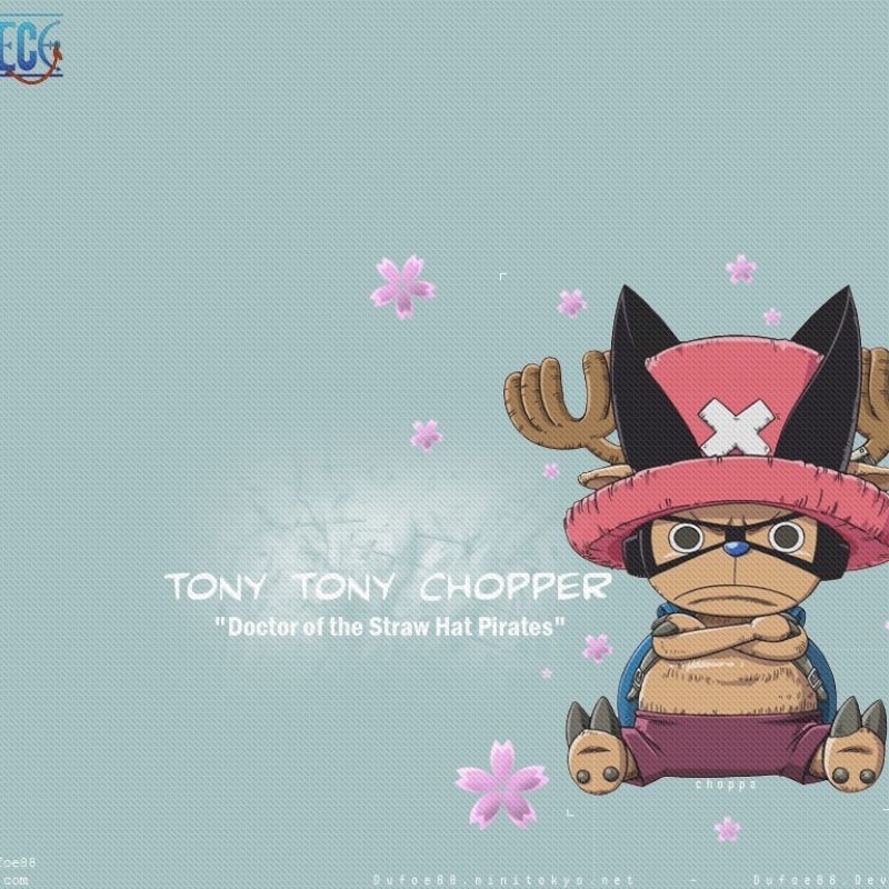 10 Best Tony Tony Chopper Wallpaper FULL HD 1920×1080 For PC Background 2022 free download tony tony chopper one piece wallpaper 42921 zerochan anime 800x800
