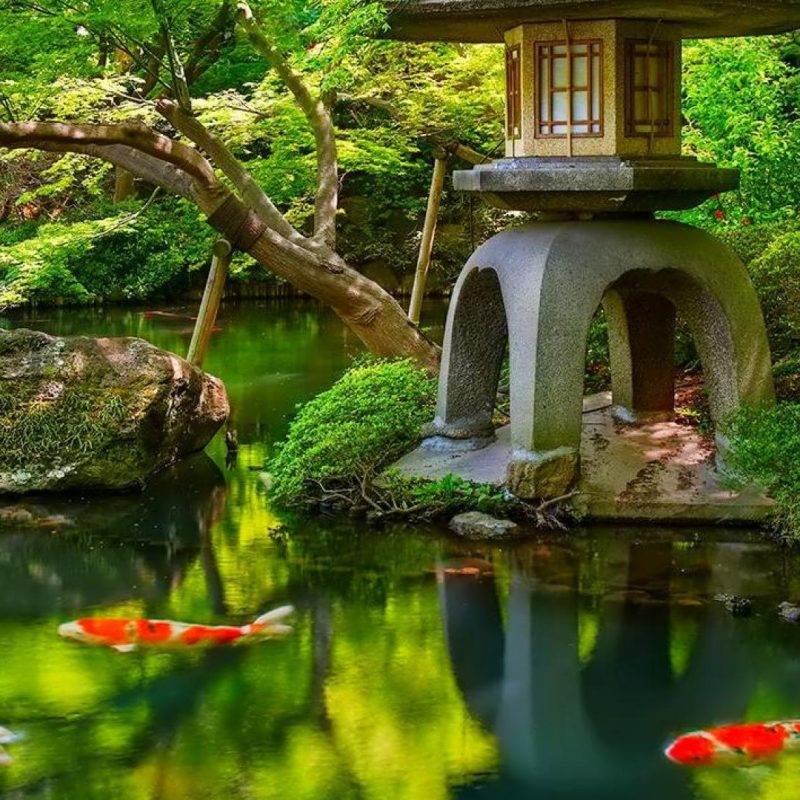 10 Latest Hd Japanese Garden Wallpaper FULL HD 1080p For PC Background 2023 free download top japanese garden background in high quality goldwall 1 800x800
