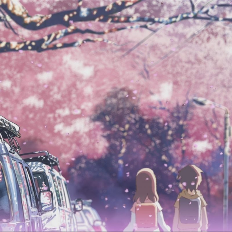 10 Most Popular Cherry Blossom Tree Anime Wallpaper FULL HD 1080p For PC Desktop 2022 free download tree sakura wallpapers second anime 158179 dart pinterest 800x800