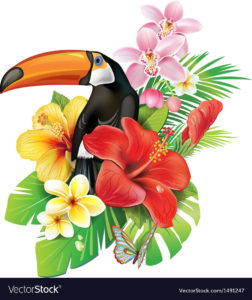 tropical flowers and toucan royalty free vector image