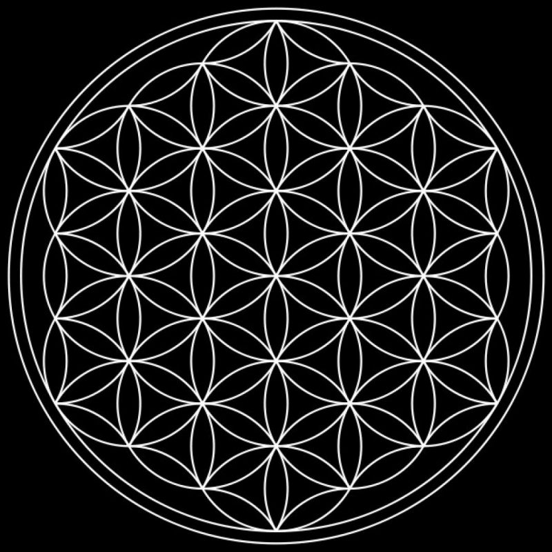 10 Best Sacred Geometry Iphone Wallpaper FULL HD 1080p For PC Desktop 2022 free download truth one flower of life sacred geometry wallpaper 37268 800x800