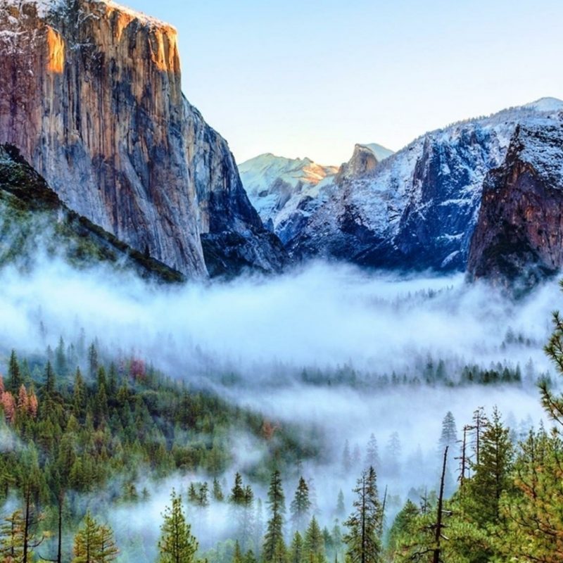10 Best Yosemite National Park Wallpapers FULL HD 1920×1080 For PC Background 2024 free download tunnel view of foggy yosemite valley yosemite national park 800x800