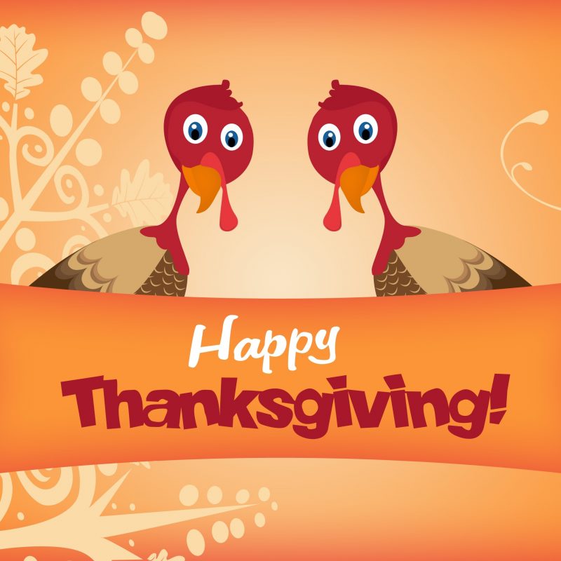 10 Top Happy Thanksgiving Turkey Wallpaper FULL HD 1920×1080 For PC Desktop 2022 free download two turkeys wishing you happy thanksgiving wallpaper holiday 800x800
