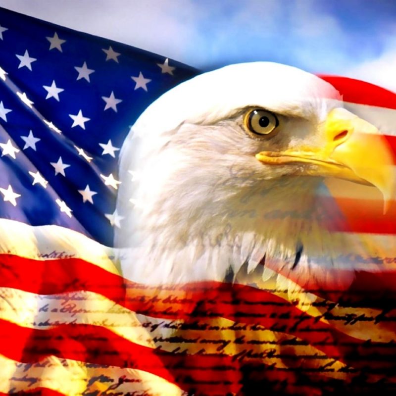10 Latest Usa Flag Eagle Wallpaper FULL HD 1920×1080 For PC Background 2022 free download usa flag and eagle picture free best hd wallpapers 800x800