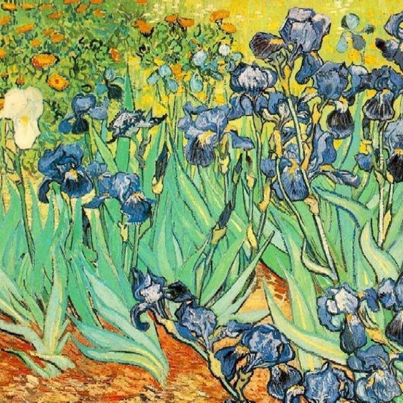 10 Latest Van Gogh Desktop Wallpaper FULL HD 1080p For PC Background 2022 free download vangogh n01 peintures tableaux boolsite 800x800