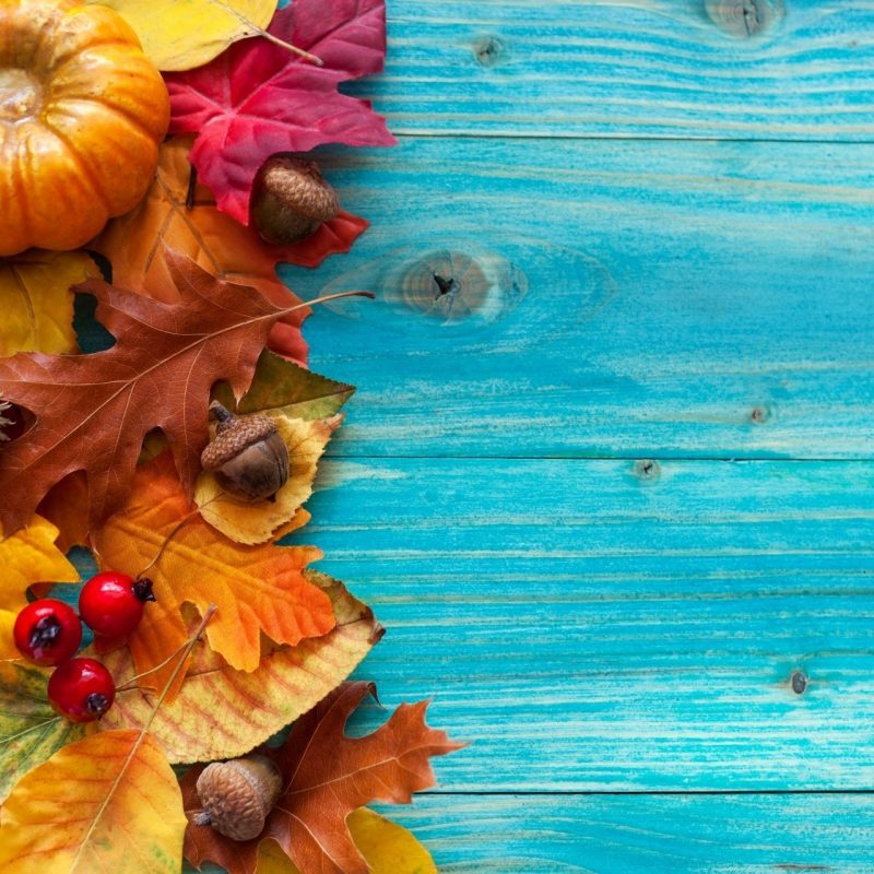 10 New Fall Wallpaper With Pumpkins FULL HD 1920×1080 For PC Background ...