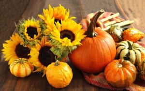 wallpaper autumn, pumpkin, sunflower, harvest, still life desktop