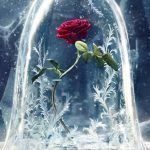 wallpaper beauty and the beast, 2017 movies, disney, rose, movies, #1261