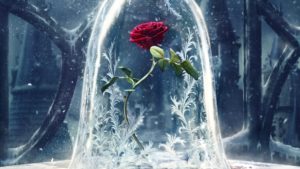 wallpaper beauty and the beast, 2017 movies, disney, rose, movies, #1261