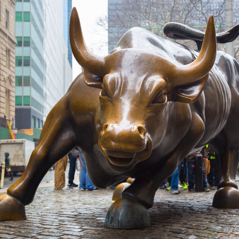 10 Most Popular Wall Street Bull Wallpaper FULL HD 1920×1080 For PC Background 2022 free download wallpaper charging bull wall street bull bowling green bull 800x800