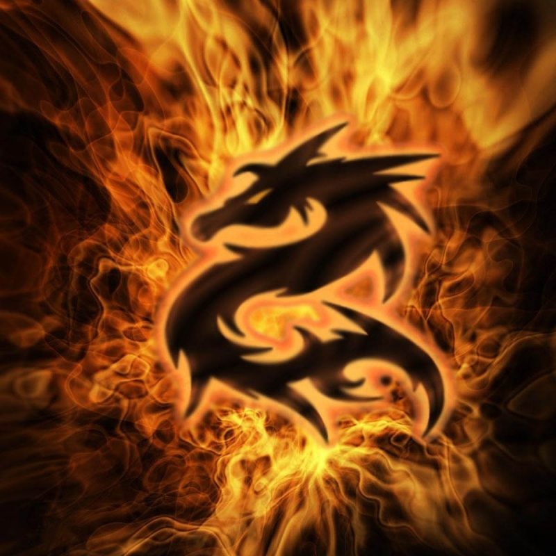 10 Latest Cool Dragons Wallpaper 3D FULL HD 1080p For PC Background 2022 free download wallpaper dragon wallpapers 1 800x800