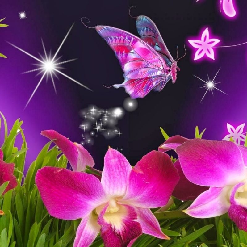 10 Most Popular Wallpapers Butterfly Free Download FULL HD 1080p For PC Background 2022 free download wallpaper flowers and butterflies beautiful flowers and 800x800