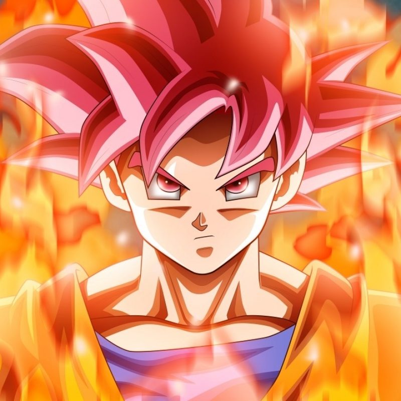 10 New Super Saiyan God Goku Wallpaper FULL HD 1080p For PC Background 2022 free download wallpaper goku dragon ball super 4k 8k anime 6901 2 800x800