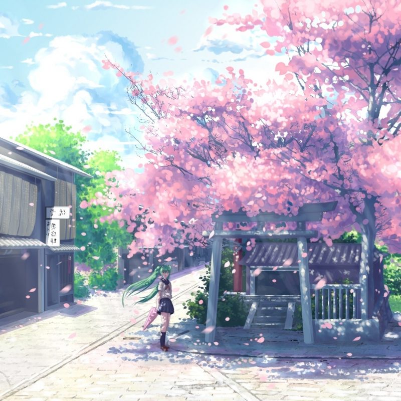 10 Most Popular Cherry Blossom Tree Anime Wallpaper FULL HD 1080p For PC Desktop 2023 free download wallpaper landscape anime sky winter branch house vocaloid 800x800